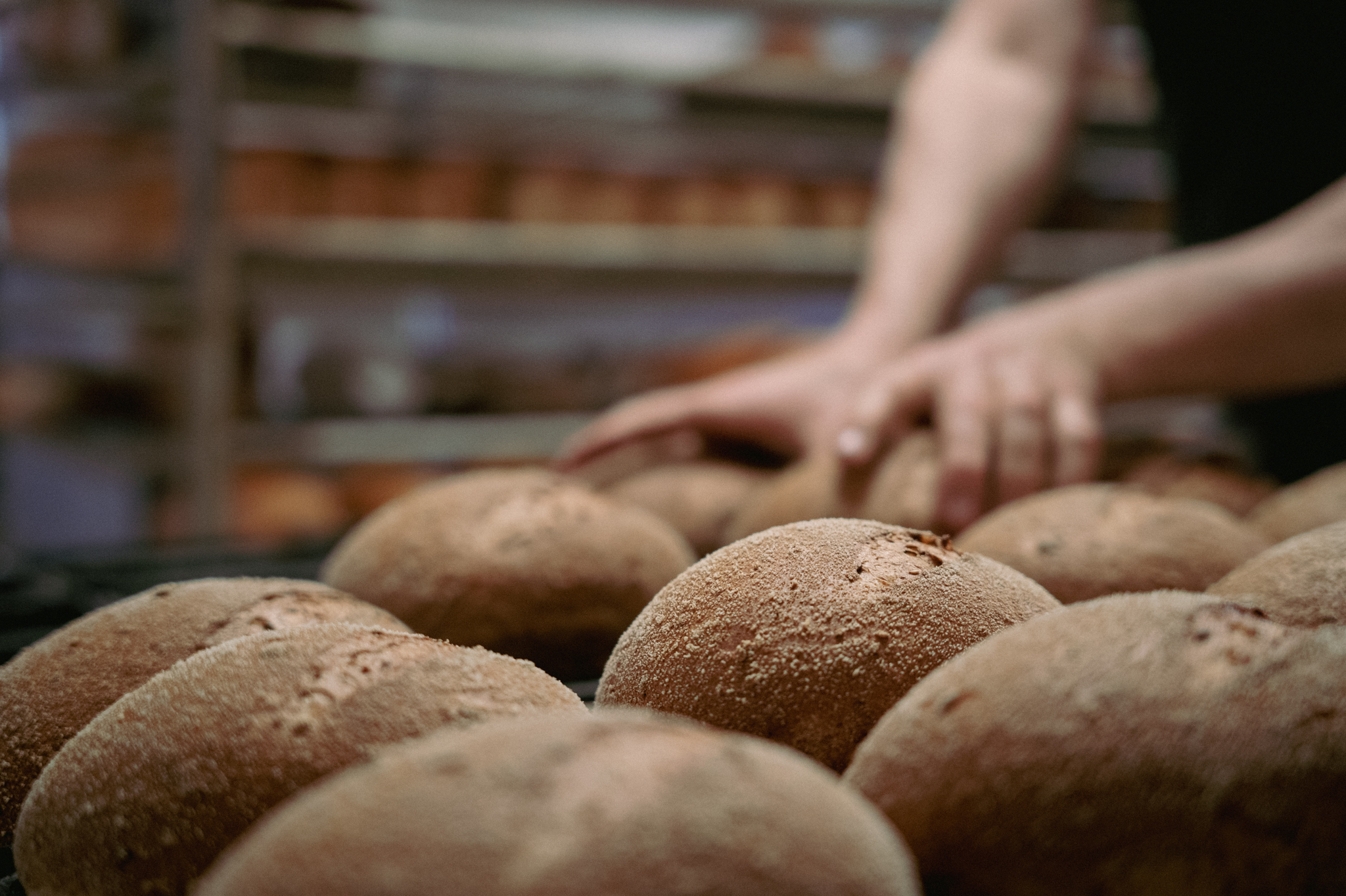 Bakkerij Willemsen